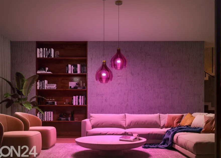 Hue White and Color ambiance aloituspakkaus 2xE27