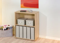 Hyllykkö Parini 1