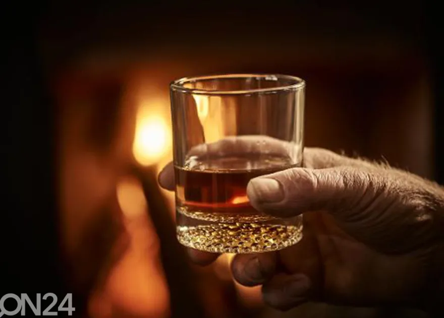 Juomalasi Artisan Whisky 30 cl, 4 kpl