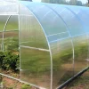 Kaarikasvihuone Easy-UP, 4 mm 3x8 m
