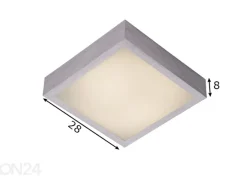 Kattovalaisin Casper