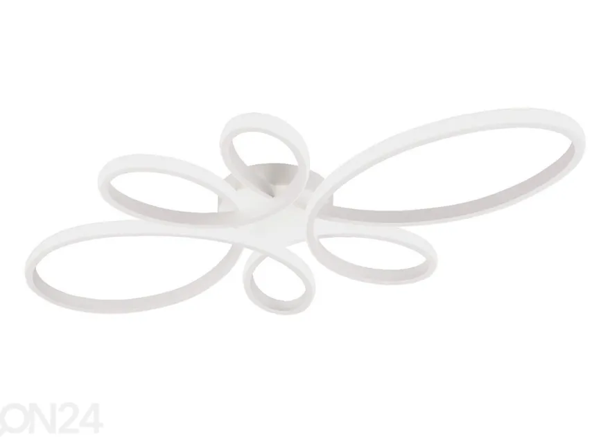 Kattovalaisin Fly