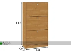 Kenkäkaappi Trio 101