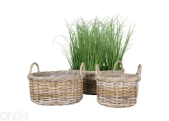 Korit / kukkaruukut Bạc Liêu, 3 kpl