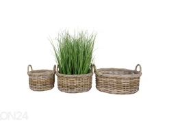 Korit / kukkaruukut Bạc Liêu, 3 kpl