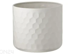Kukkaruukku