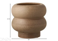 Kukkaruukku