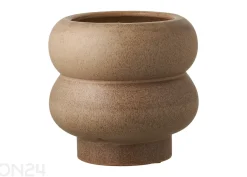 Kukkaruukku
