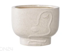 Kukkaruukku