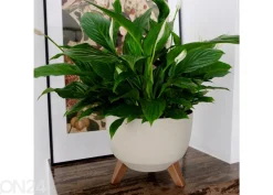 Kukkaruukku jaloilla Roma Legs Ø 29 cm
