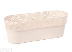 Kukkaruukku ROSA