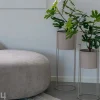 Kukkaruukut Rabo