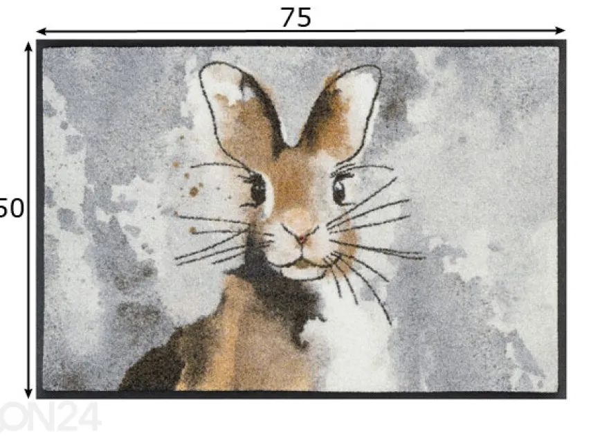 Kynnysmatto Hopps 50x75 cm
