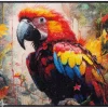 Kynnysmatto Parry McParrot 50x75 cm