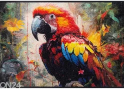 Kynnysmatto Parry McParrot 50x75 cm