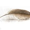 Lasikuva Feather 125x50 cm