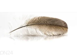 Lasikuva Feather 125x50 cm
