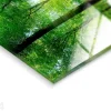 Lasikuva Forest 125x50 cm