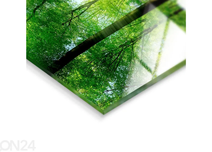 Lasikuva Forest 125x50 cm