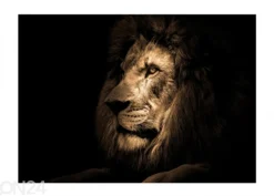 Lasikuva Lion 100x70 cm