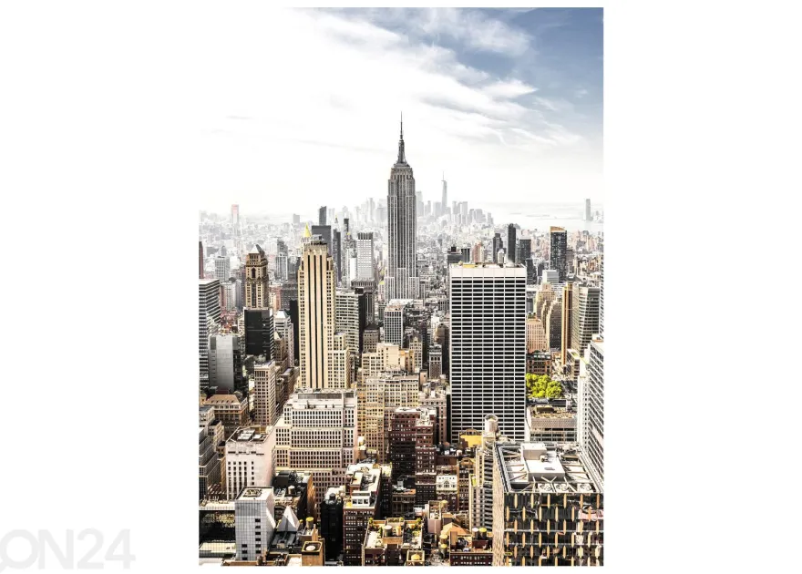 Lasikuva Manhattan 50x70 cm