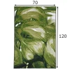 Matto GARDEN PALM 70x120 cm