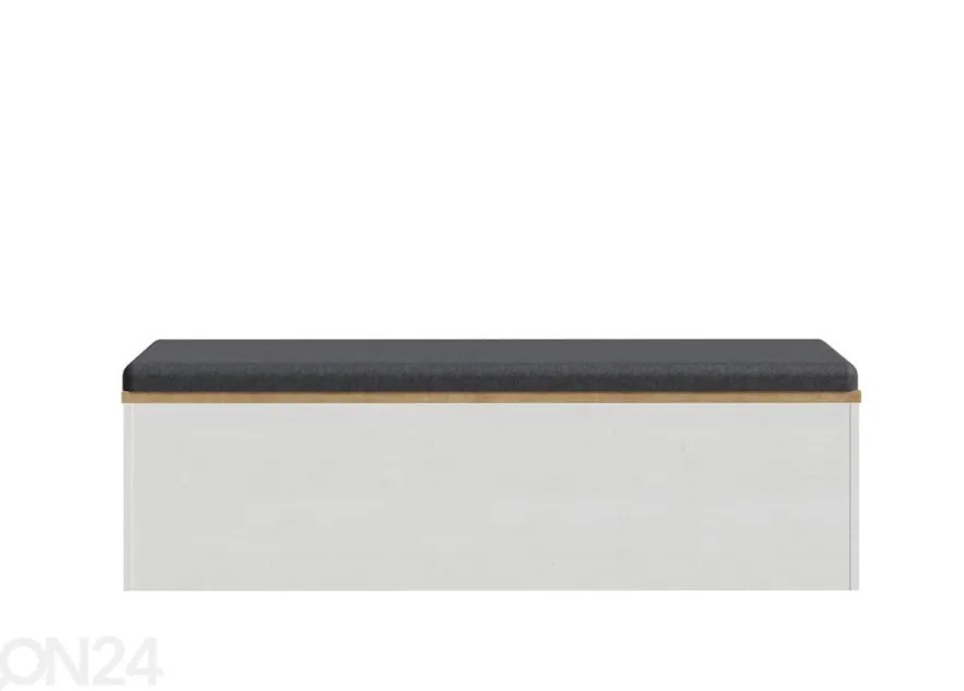 Penkki