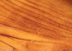 Penkki Root