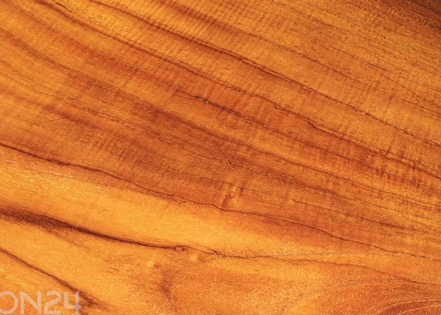 Penkki Root