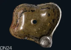 Pesuallas marmoria