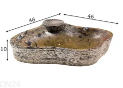 Pesuallas marmoria