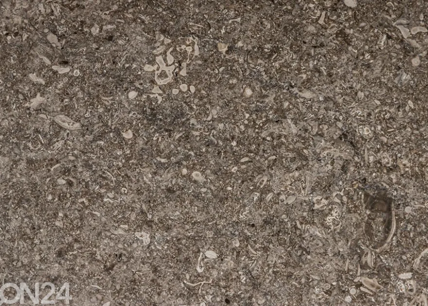 Pesuallas marmoria