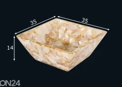 Pesuallas simpukankuorilla