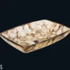 Pesuallas simpukankuorilla