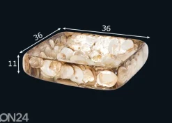 Pesuallas simpukankuorilla