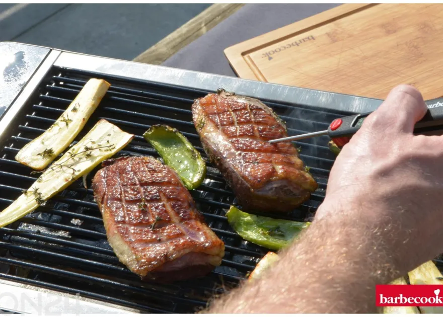 Pöytähiiligrilli Barbecook Karl