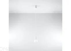 Riippuvalaisin Diego 1