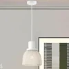 Riippuvalaisin Mesh