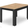 Ruokapöytä 80x120 cm + 4 tuolia