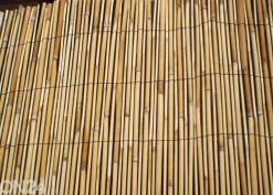 Ruokoaita 1x6 m