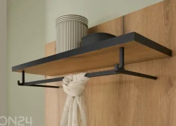 Seinänaulakko Cantara
