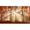 Seinätaulu Autumn Trees 140x60 cm