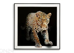 Seinätaulu Jaguar 82x82 cm