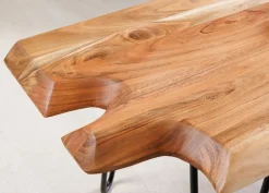 Sohvapöytä Wild 100x41 cm