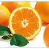 Tarjoilualusta Appelsiini, 4 kpl