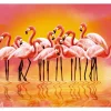 Tarjoilualusta Flamingo, 4 kpl