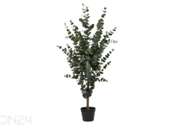Tekoeukalyptus
