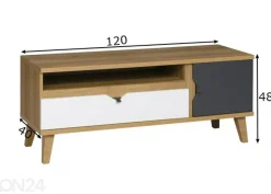 TV-taso