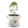 Yrttiruukku BELLE JARDINIERE 15,5 cm