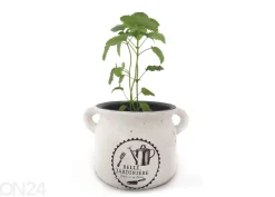 Yrttiruukku BELLE JARDINIERE 15,5 cm